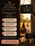 👑 Fondateur·trice VIP — Accès à Vie